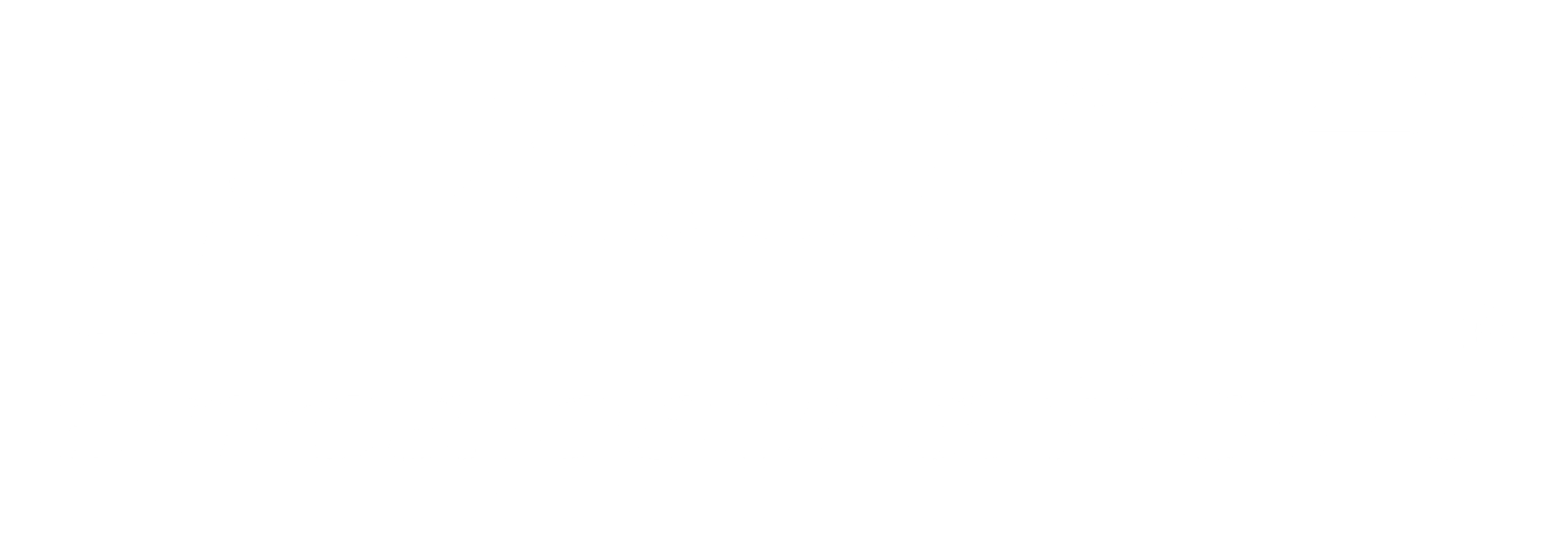 Brand logo 9