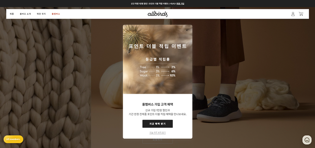 Allbirds loyalty program