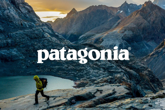 Patagonia: Affinity-Dominant Model (Values-Led Loyalty)