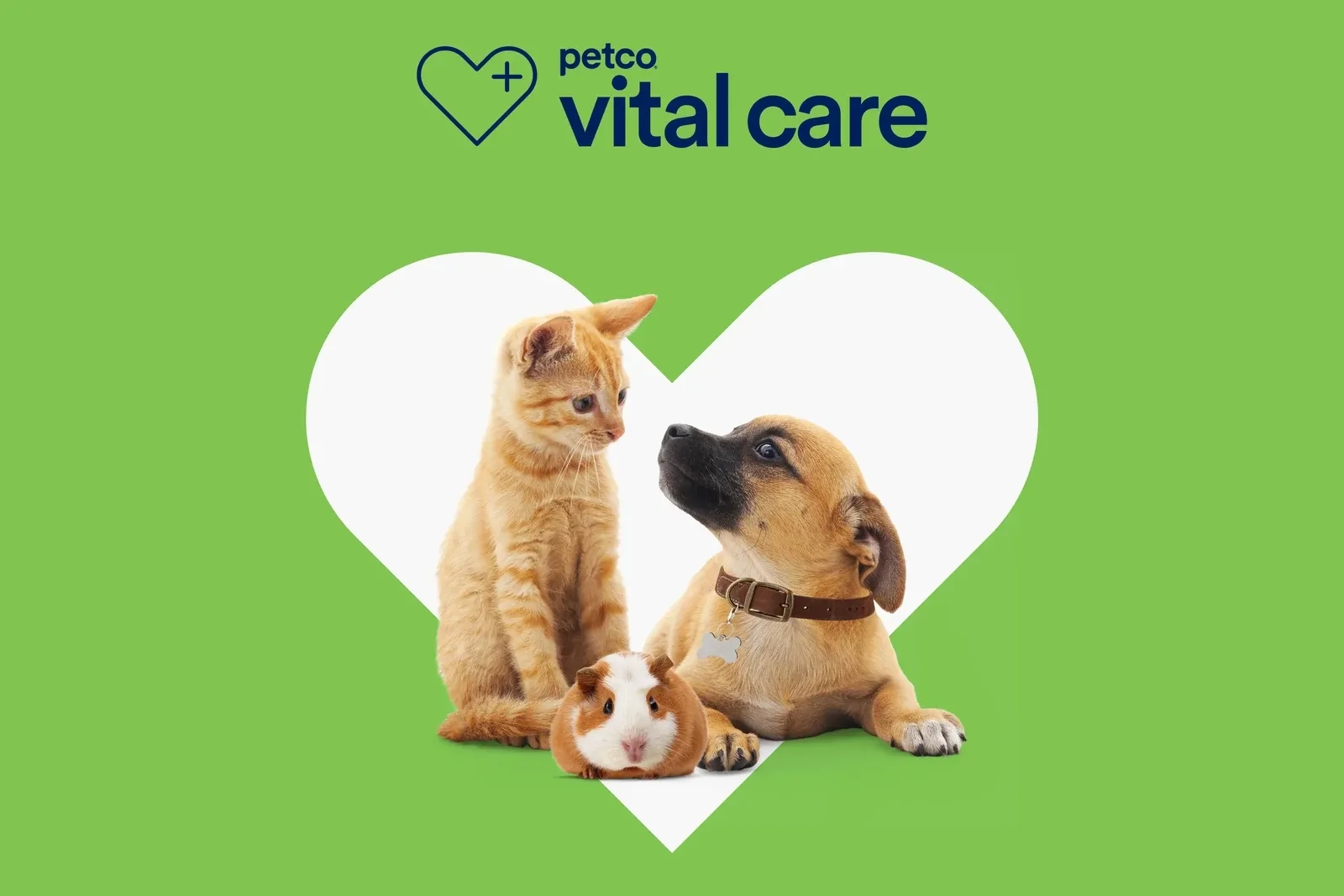 Petco Vital Care logo above a kitten, puppy, and guinea pig inside a white heart on a green background