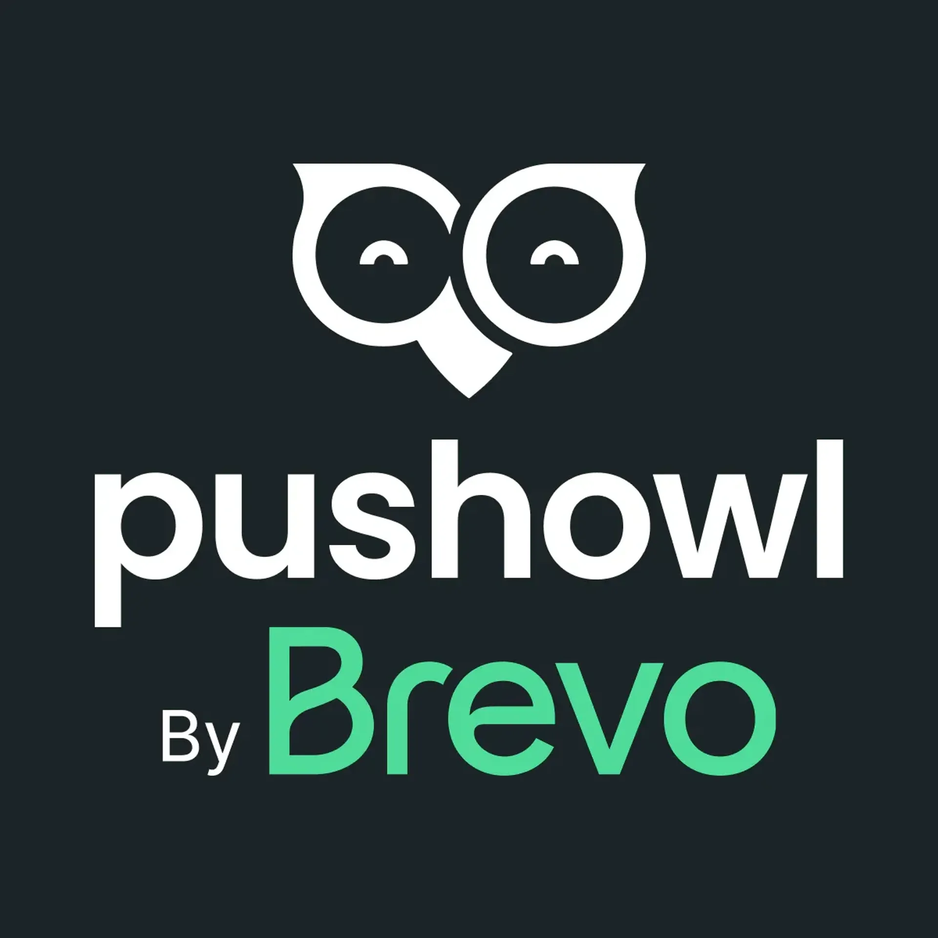 Pushowl